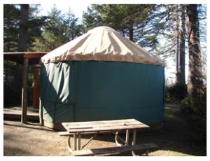 outside-the-yurt Outside the yurt