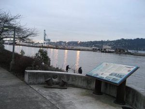 view-and-interpretive-sign-at-overlook-on-mccarthy-trail-link-swan-island