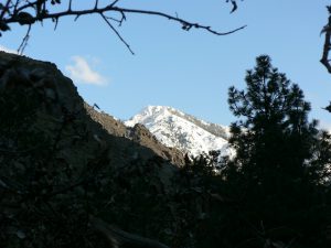 Snow on Hells Canyon