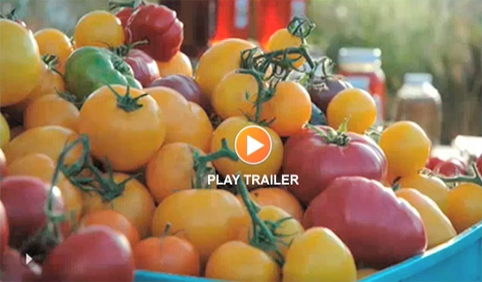 Ingredients Movie - Play Trailer