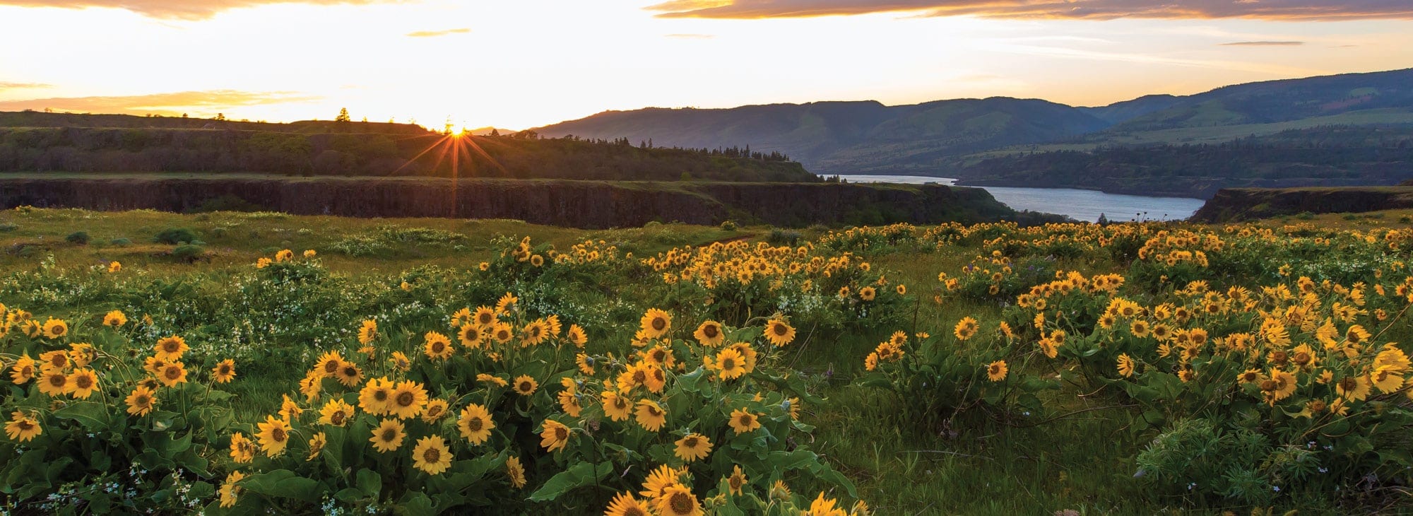 Historic Columbia River Highway Scenic Byway