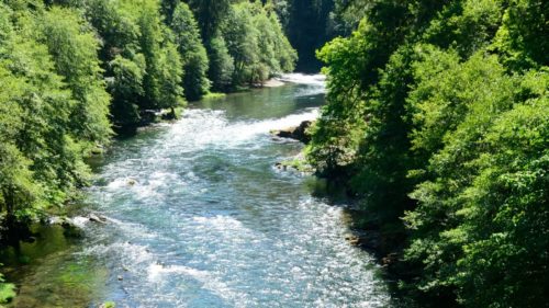 A bird's-eye view shows the mighty Umpqua River roaring past tall green trees.