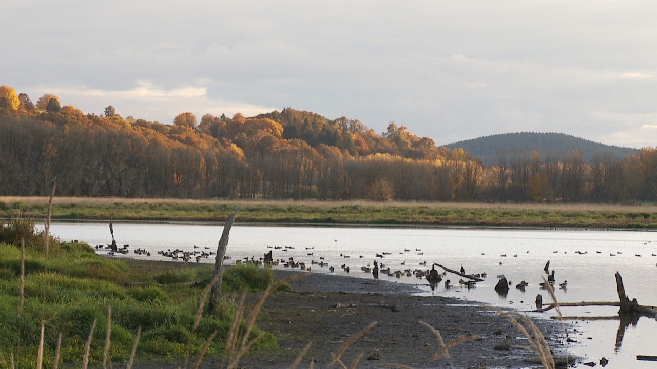 Explore Sauvie Island | An Oregon Wildlife Area