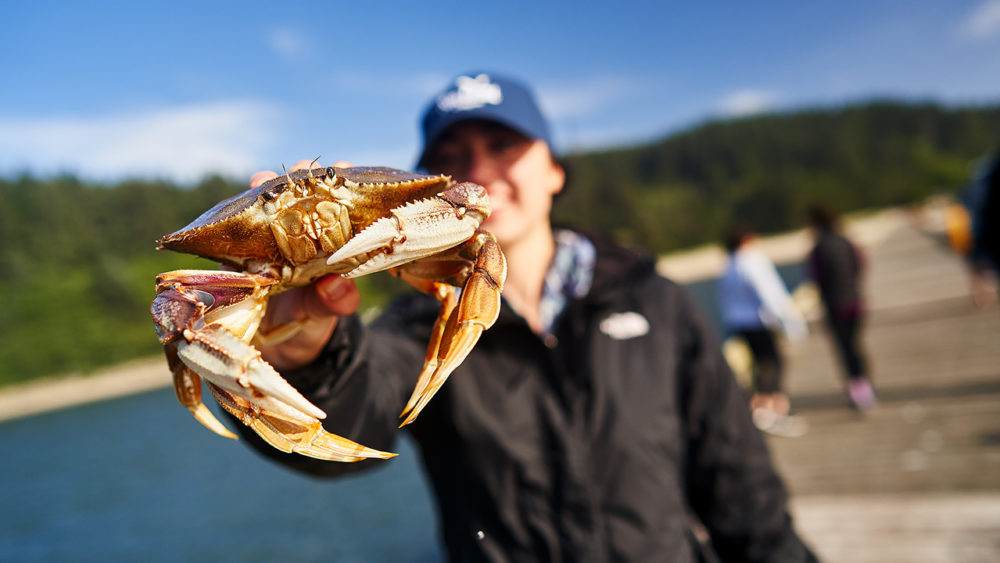 Sand, Seafood and Surf in Coos Bay Travel Oregon