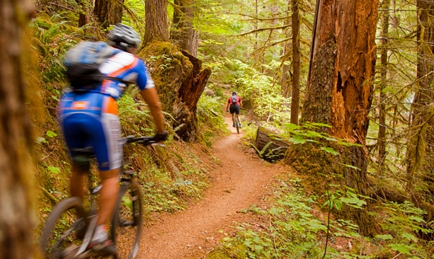 Oregon Mountain Biking Trail | McKenzie 