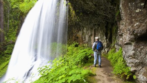 Silver Falls State Park is just the place to start a waterfall journey much like the pioneers and Native Americans did. There are ten falls in the canyon that you can reach by hiking well-maintained trails.