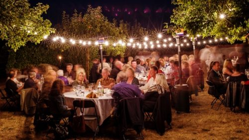 Take a tour of a winery or farm followed by a six-course meal at one of Field & Vine's Dinners in the Field. (Photo credit: Erika Plummer)