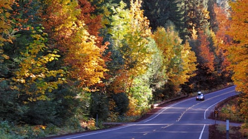 Fall colors brighten a winding Oregon road.