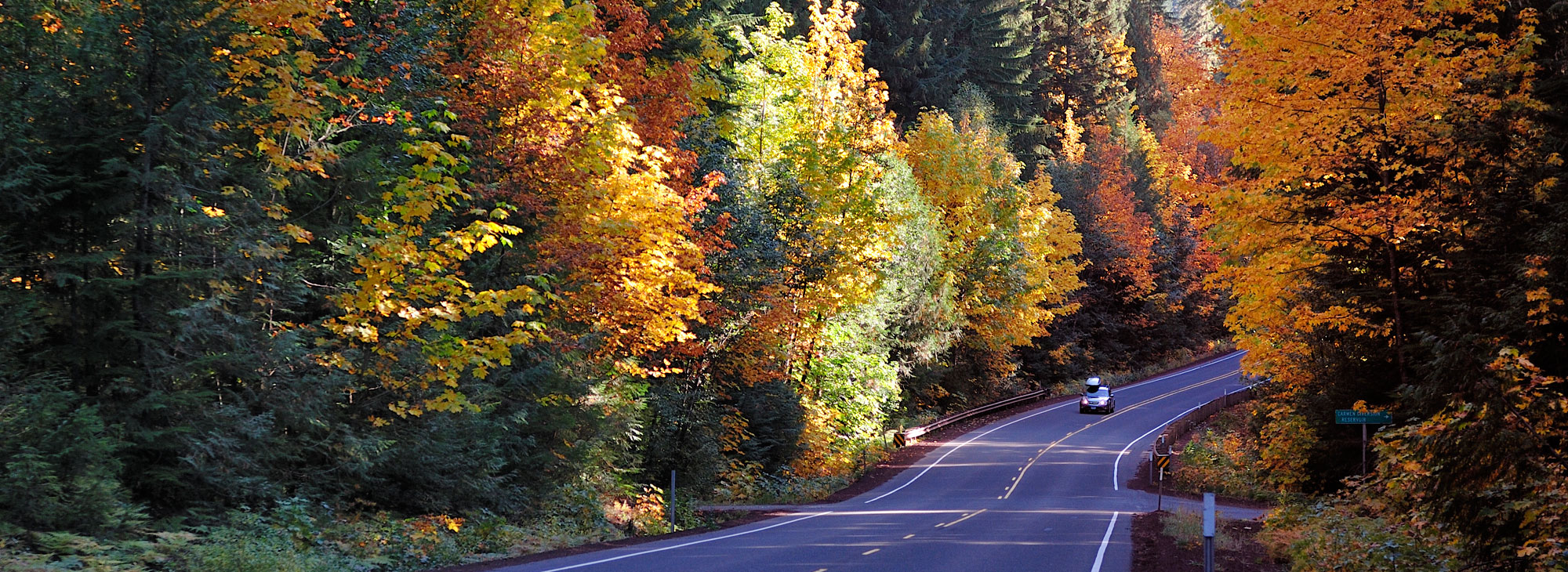 Fall colors brighten a winding Oregon road.