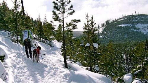 For dog-friendly skiing, check out the scenic 2.5-mile Tumalo Falls Trail in Bend. (Photo credit: Susan Johnson / OregonAdventurist.com)