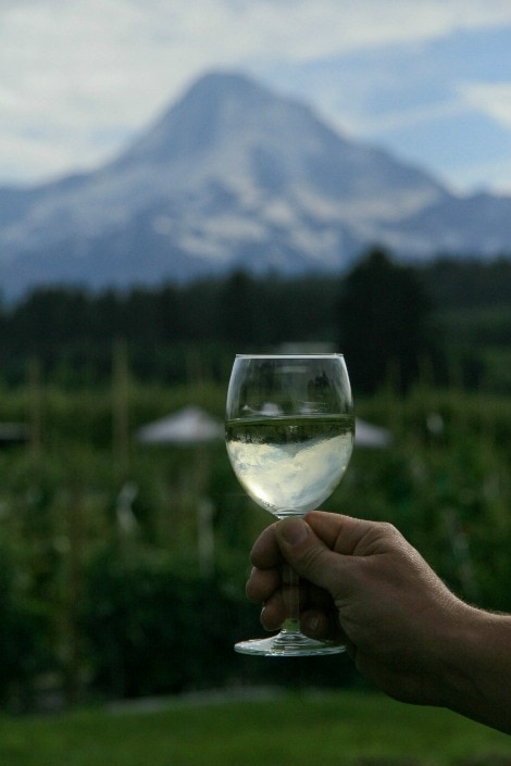 Mt. Hood wine glass
