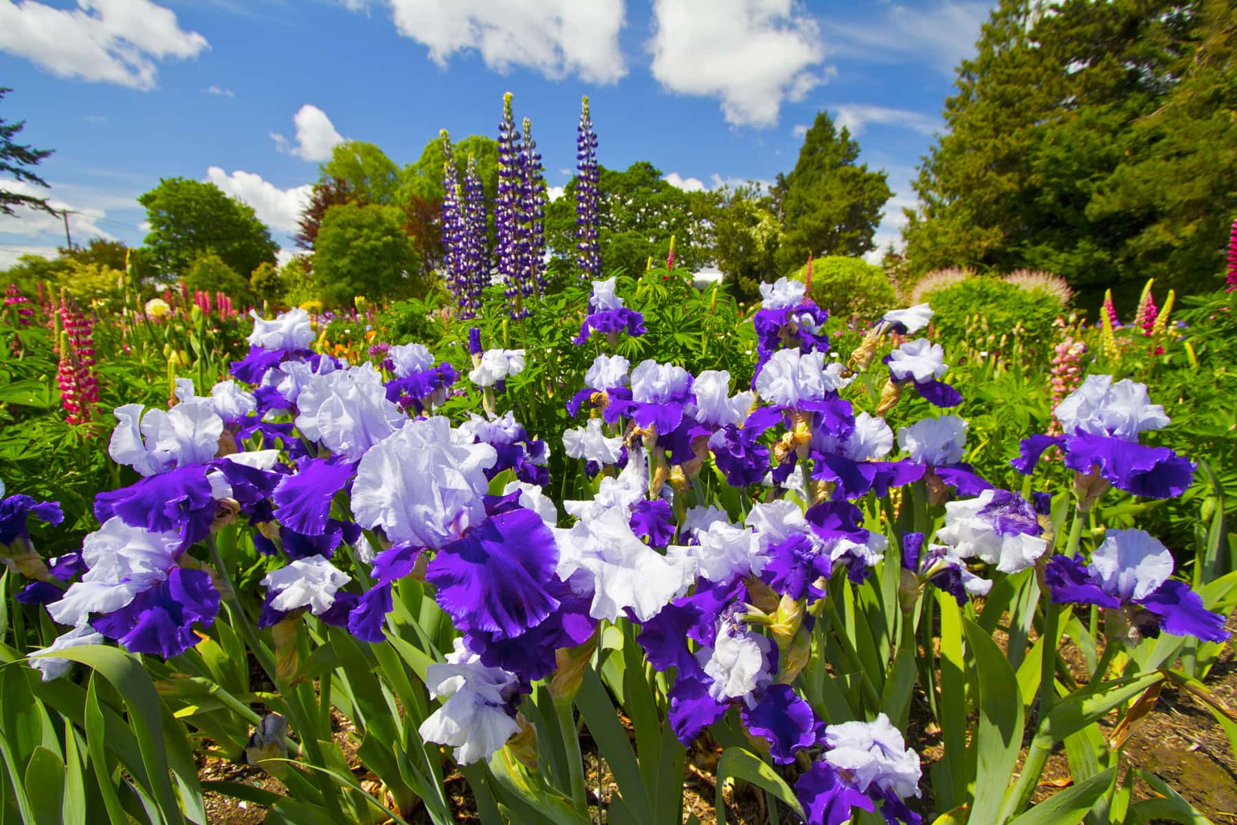 Flower Walks in the Valley Travel Oregon