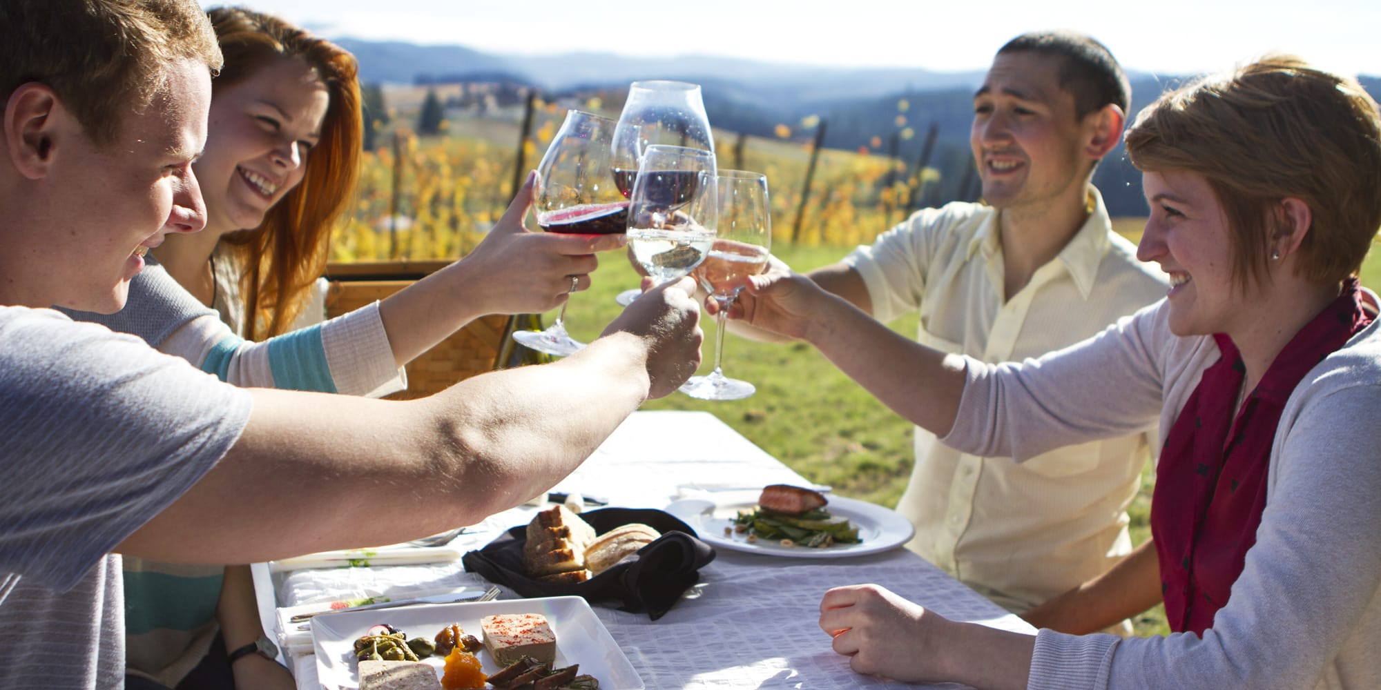 Four people clink wine glasses, smiling around an outdoor dining table with scenic vineyard views. Plates of food and a sunlit landscape enhance the celebratory atmosphere.