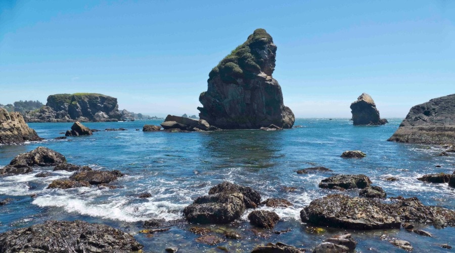 Explore Harris Beach State Park Travel Oregon