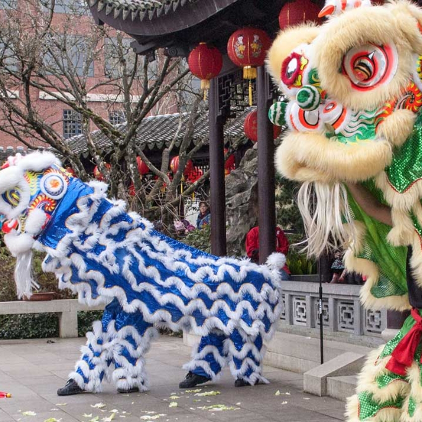 Two Chinese dragons