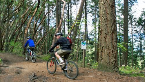 With more than 47 miles of trails in the greater Ashland area, there's a hike (or bike ride) for everyone. (Photo credit: Daniel Gleason)