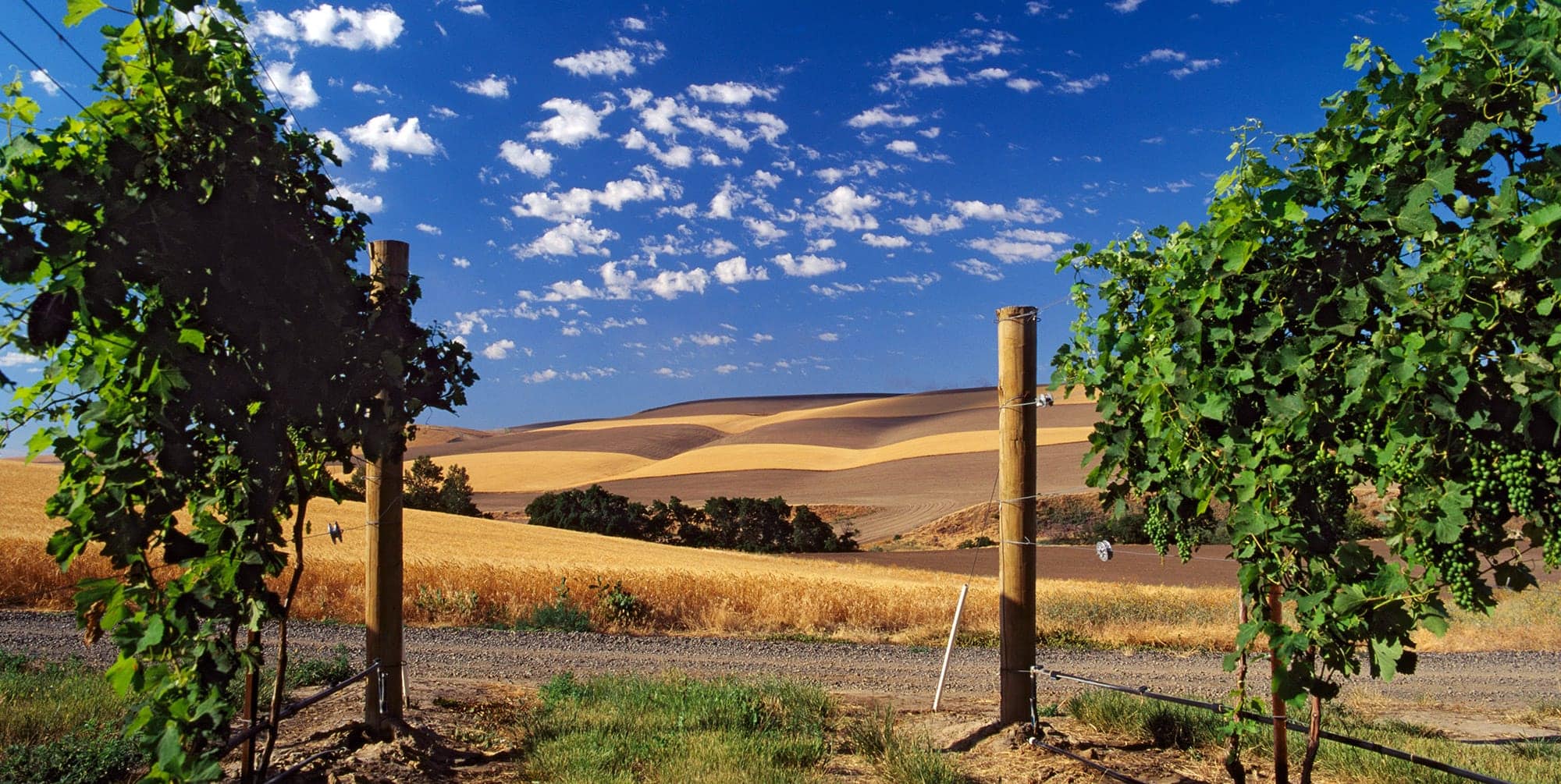 Road Trip MiltonFreewater Travel Oregon