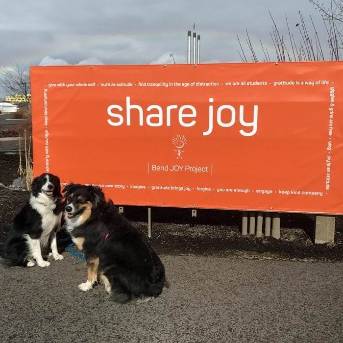 Two dogs in front of bright orange "share joy" sign