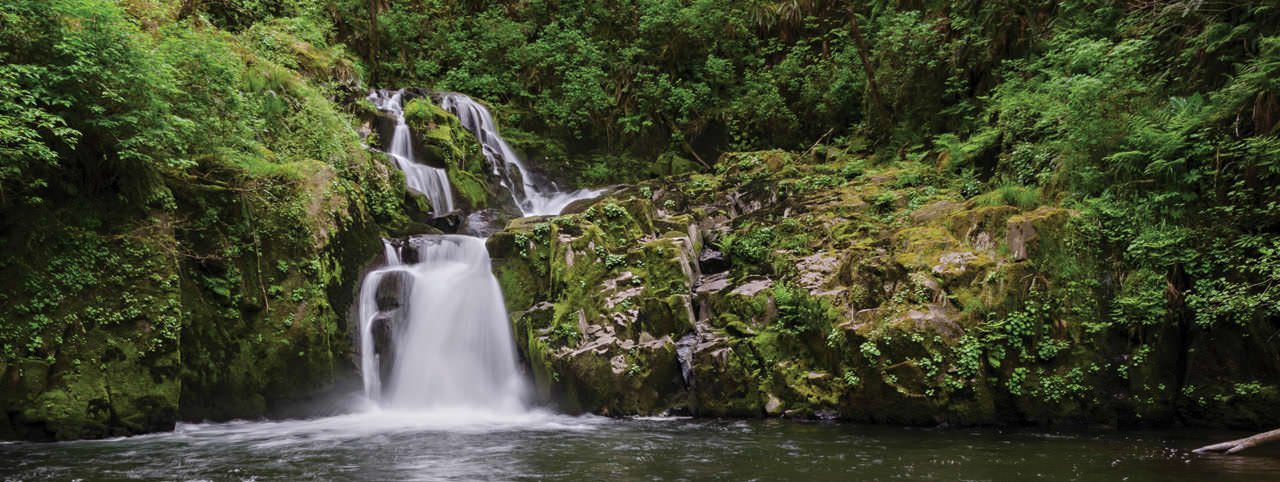 A waterfall cascades down moss-covered rocks into a calm pool, surrounded by dense green foliage in a forest setting.