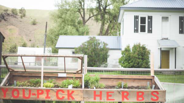Liza Jane's Farmstand