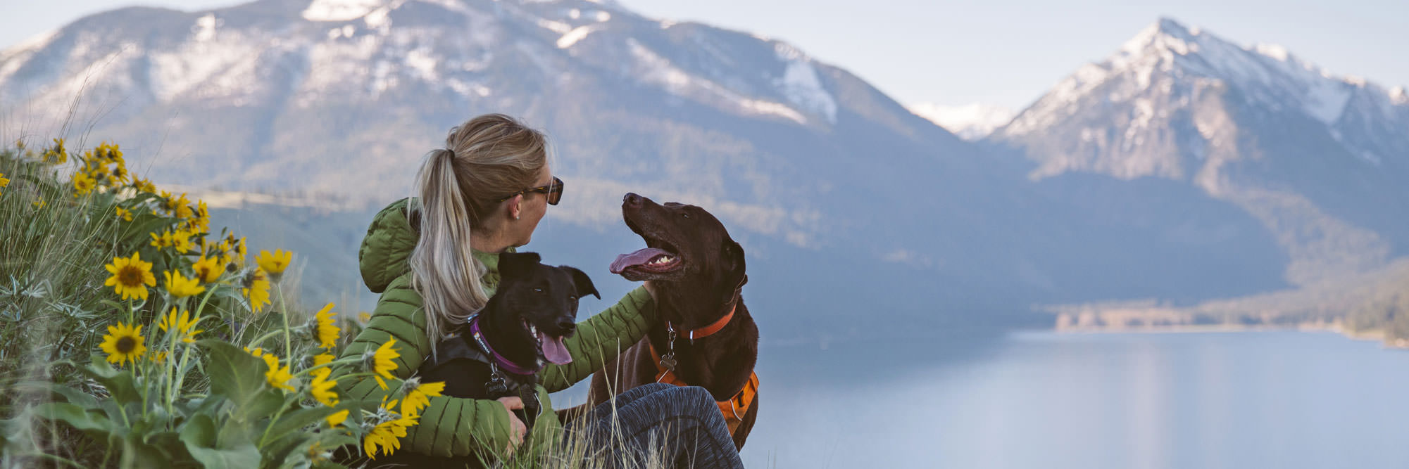 PetFriendly Travel Travel Oregon