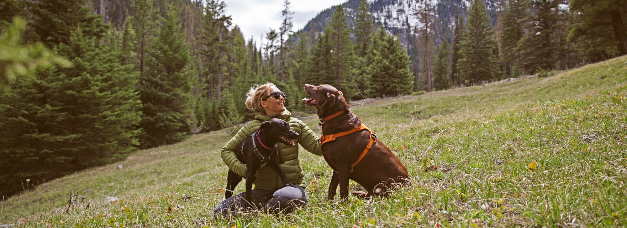 PetFriendly Travel Travel Oregon