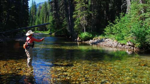 A woman stands in a shallow clear river while fly-fishing