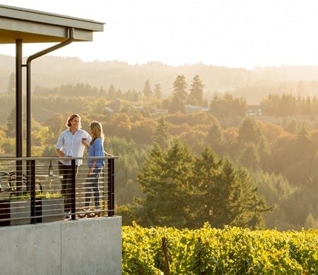 Two people stand talking on a balcony overlooking a scenic vineyard, with lush greenery and distant hills under a warm, golden sunset.