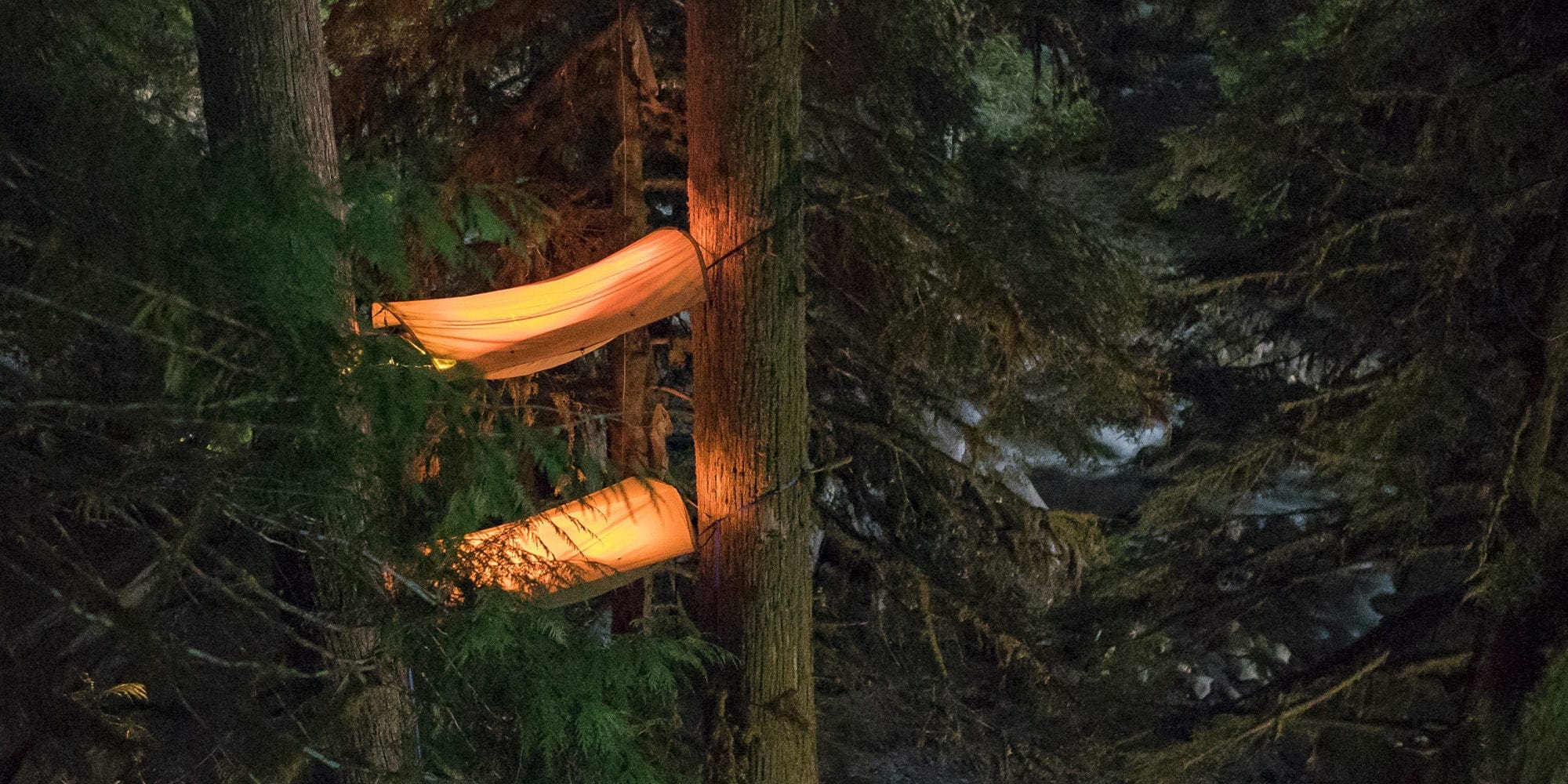 Lit-up hammocks high in the trees
