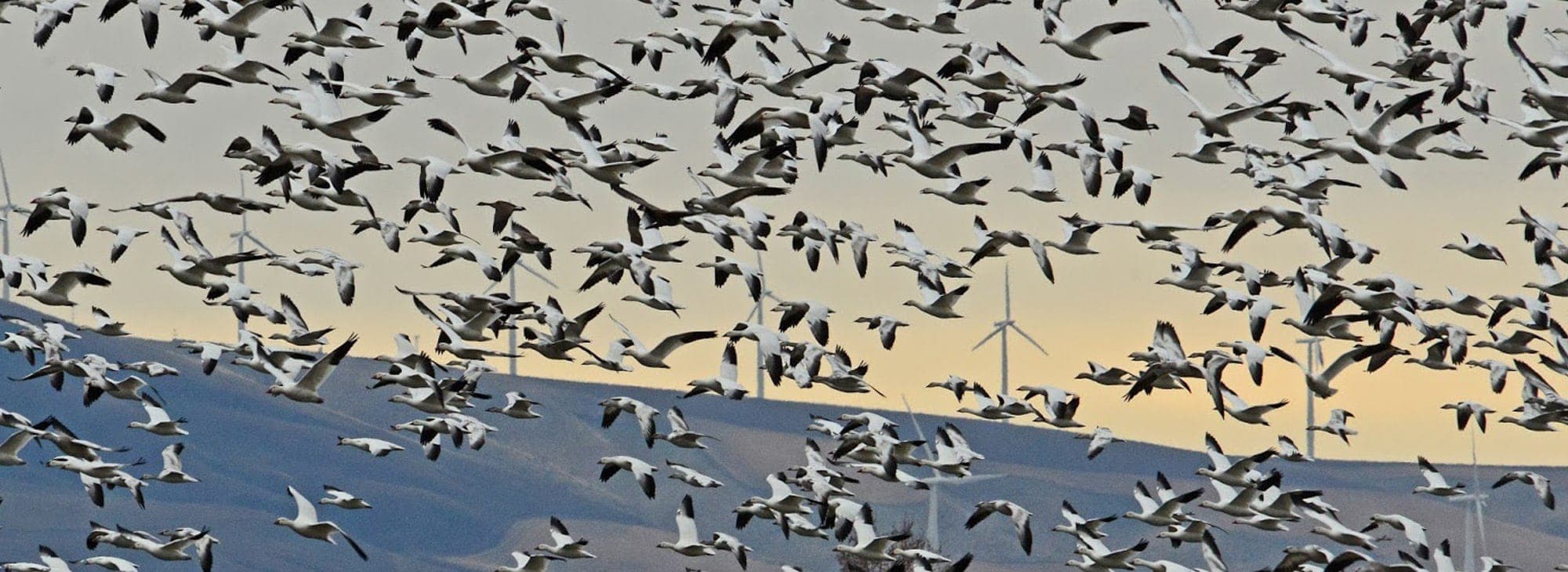 Heppner Travel Oregon