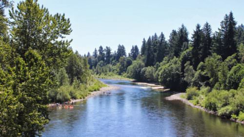 View of the Clackamas River on sunny day
