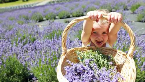 Daughter proudly holding basket of lavender