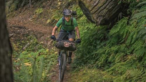 Mountain biker pedals through North Umpqua Trail.