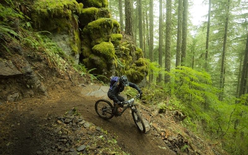 Mountain biker heads down Oakridge trail surrounded by mossy forest.