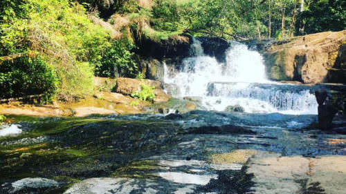 Alsea Falls