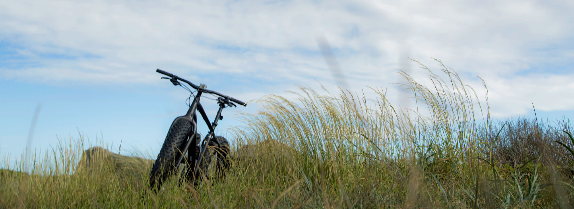 A bicycle with thick tires is stationary, partially hidden in tall grass under a bright, cloudy sky. In the background, rolling hills are visible.