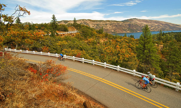 A bicyclist pedals along autumn landscape.