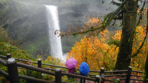 Pink and blue umbrella holders look at waterfall.
