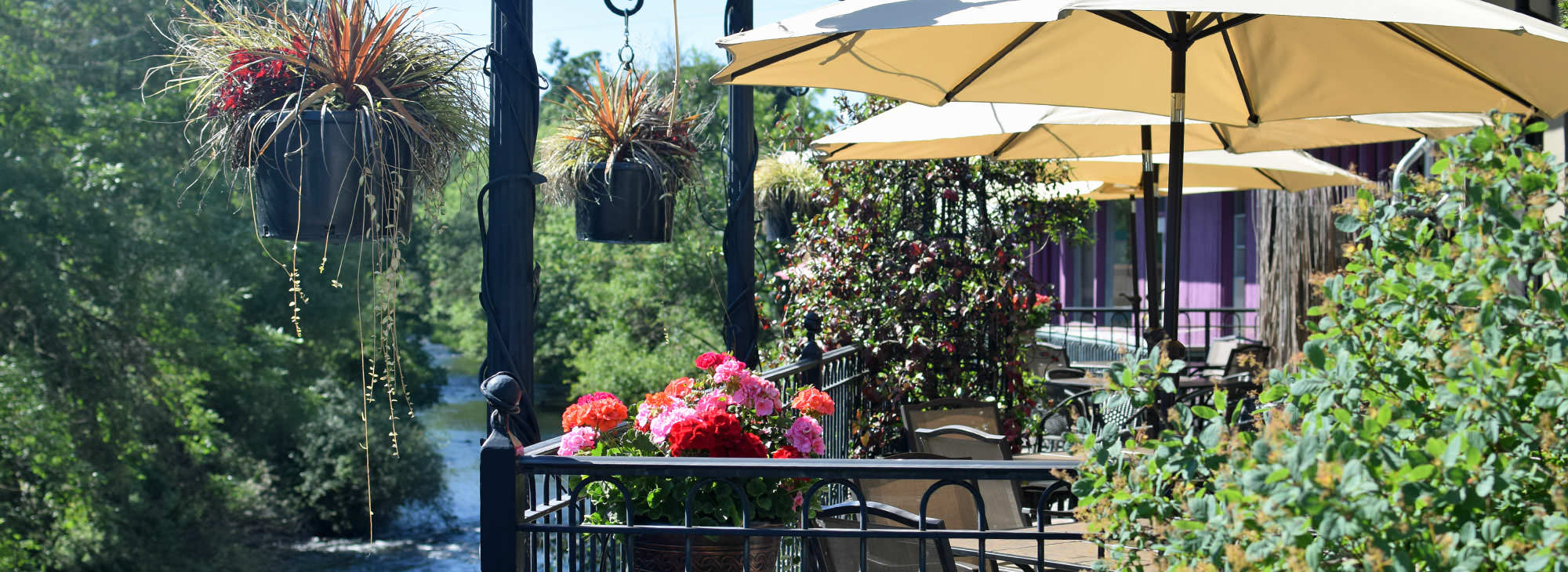 Hanging plants adorn a sunlit patio with tables and umbrellas. Bright flowers in pots line the railing, overlooking a serene, tree-lined riverbank.