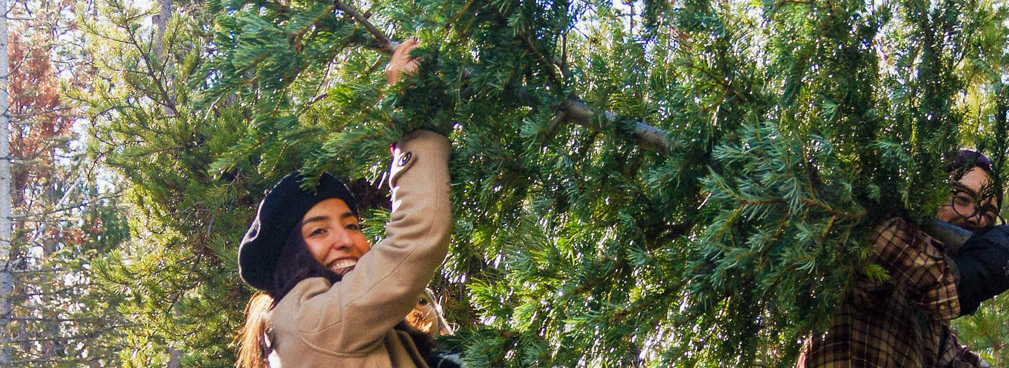 Cutting Down a Christmas Tree in Central Oregon Travel Oregon