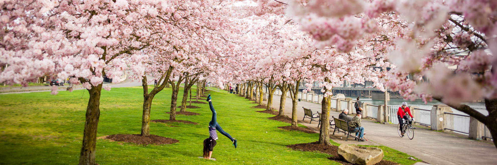 Top Things to Do in Oregon This Spring Travel Oregon