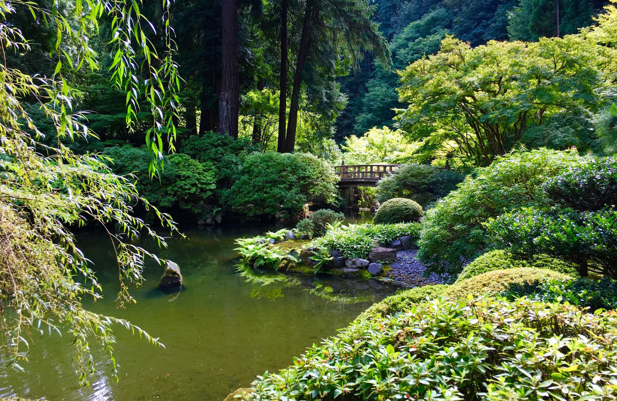 Washington Park Portland Oregon 7 Most Beautiful Gardens In Portland