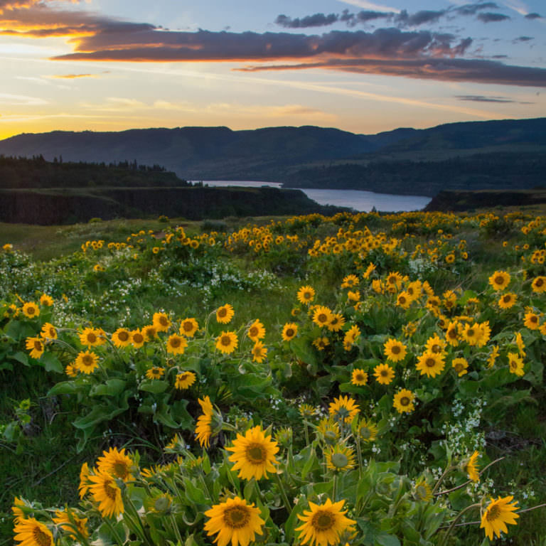 places to visit in oregon in the summer