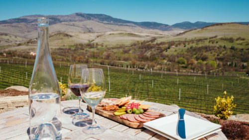 Wine and a charcuterie board sit in front of a sprawling vineyard.