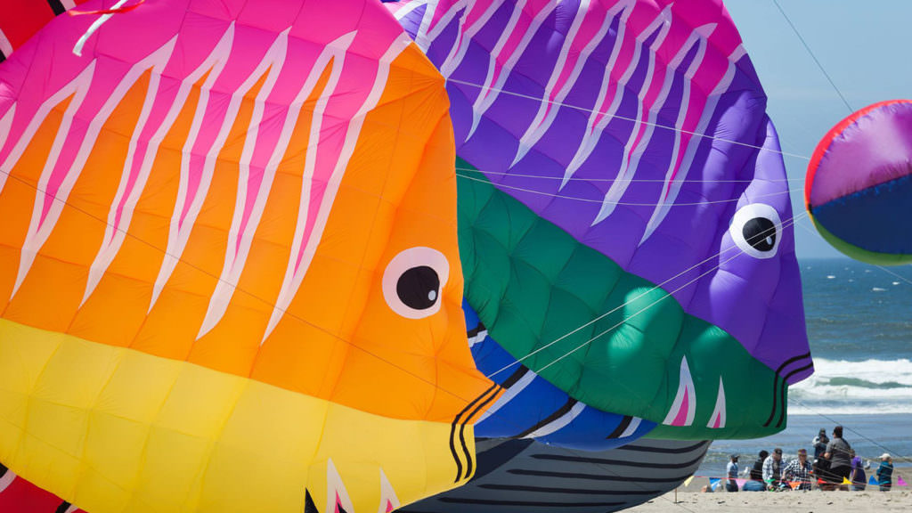 How to Fly a Kite in Lincoln City Travel Oregon