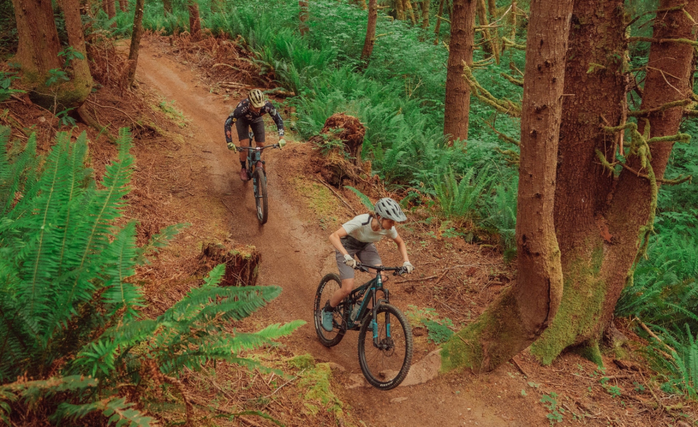 two bike riders ride down dirt trail in forest