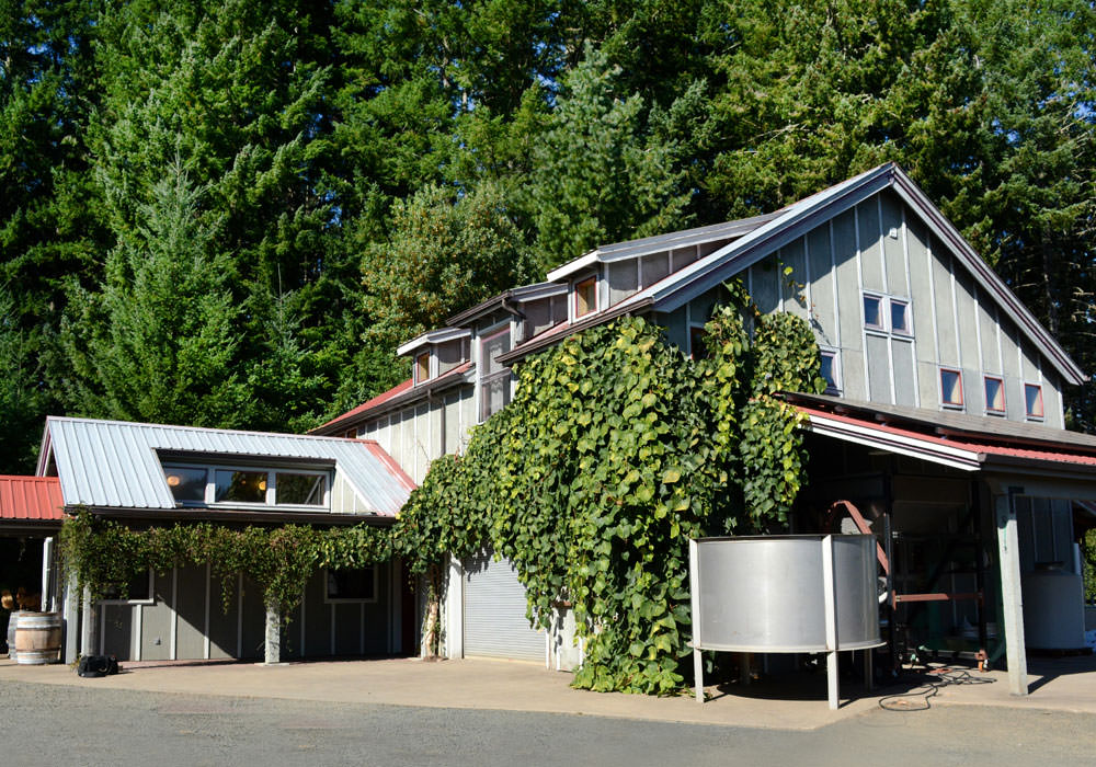 Vines hang across the side of a charming gray tasting room.