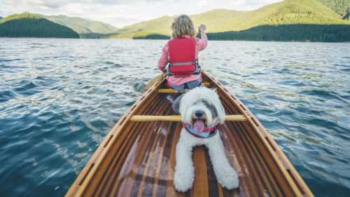 A dog smiles for the camera in the back of a canoe on Detroit Lake.