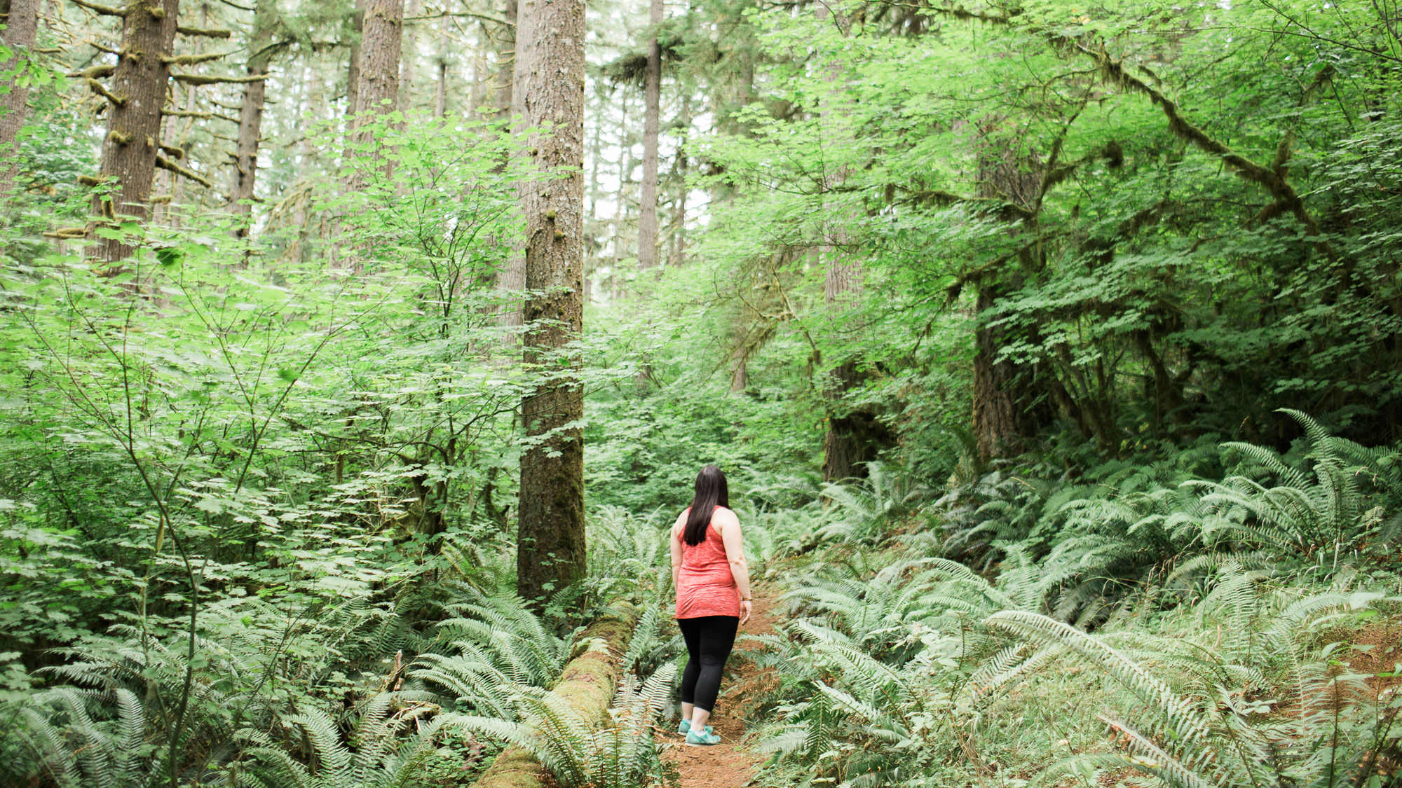 A girl walks down a trail through green ferns and tall trees.