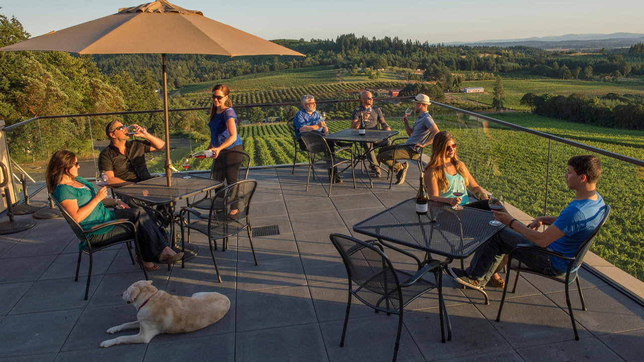 People dine with a dog on an outdoor patio overlooking a vineyard